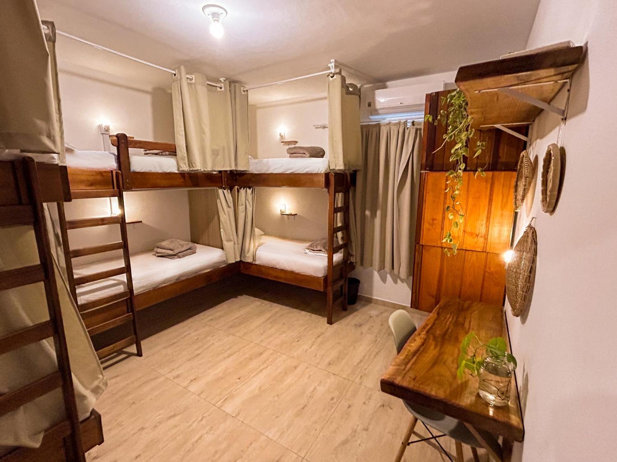 Babitonga Hostel - 100M Da Prainha Сан-Франсіску-ду-Сул Екстер'єр фото